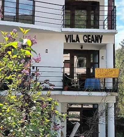 באיילה הרקולנדה Pensiunea Vila Geany Srl מראה חיצוני תמונה