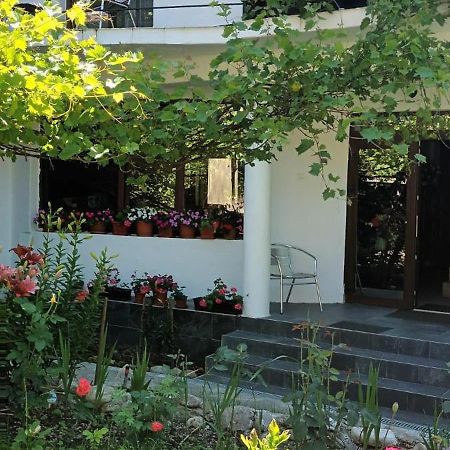 באיילה הרקולנדה Pensiunea Vila Geany Srl מראה חיצוני תמונה