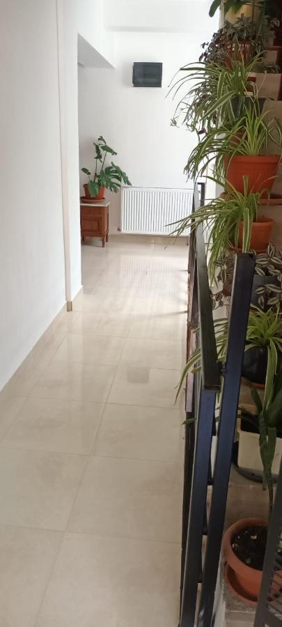 באיילה הרקולנדה Pensiunea Vila Geany Srl מראה חיצוני תמונה